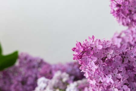 Fresh beautiful bouquet of lilac close up Stock Photo