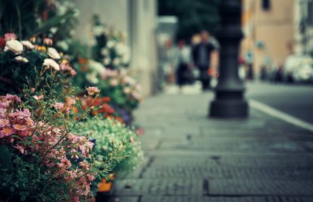 Vista da rua de Lucca com flor em Itália