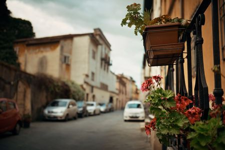 Lucca Street View con fiore in Italia Archivio Fotografico