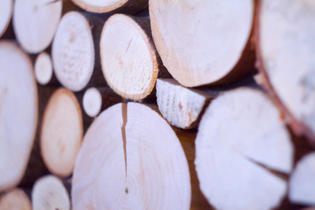 The wood is trimmed into firewood to create a warm fire on a snow day