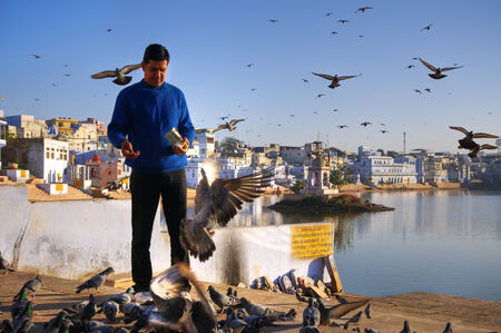Hombre indio alimentar palomas en Pushkar, Rajasthan, India.