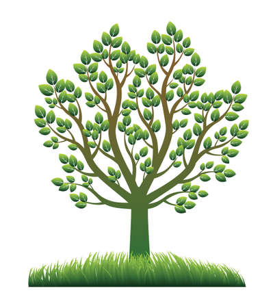 Season tree with leaves on green grass vector illustration