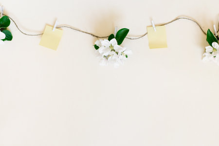 White apple blossoms suspended on a string with wooden clothespins and pieces of paper for notes on a beige background copyspace flat lay Stock Photo