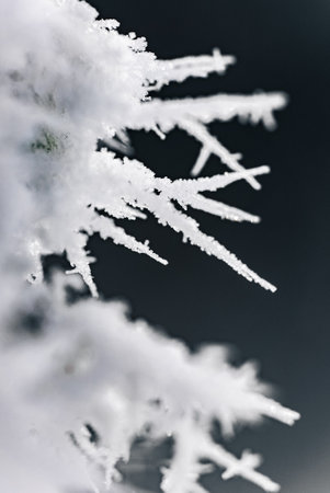 A mesmerizing macro view capturing the intricate beauty of individual snowflakes each one unique in its delicate and intricate design