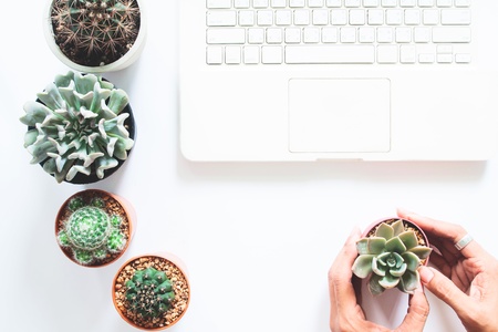 Overhead view of laptop computer on white desk with cactus and succulent and woman hand holding one