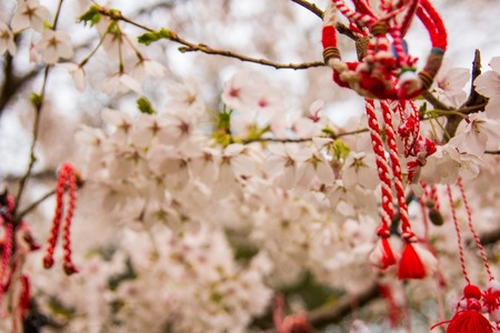 Rote orientalische Zierpflanzen auf einem blühenden Kirschbaum. bulgarischer Stil.