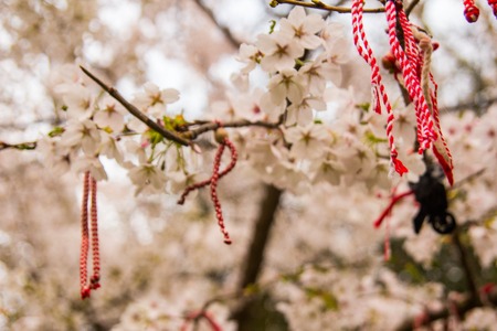 Ornamenti di oriental rosso su un albero di ciliegio in fiore. stile bulgaro.