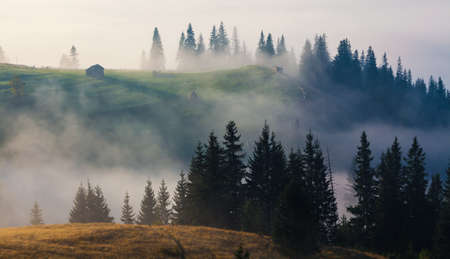 Schöne Sommerlandschaft in den Bergen. Sonnenaufgang Standard-Bild