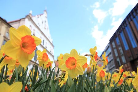 famosa Marienplatz - Germania - Baviera