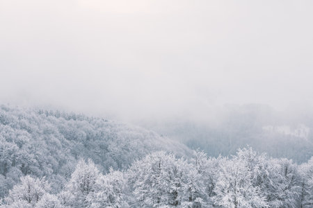 Minimalistic winter landscape in cloudy weather Stock Photo