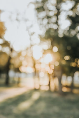 Blurred autumn park natural background on the sunset