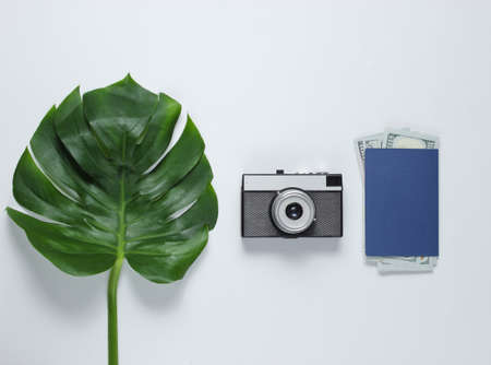 Traveled minimalistic still life monstera leaf retro camera passport with dollar bills on a white background top view Stock Photo