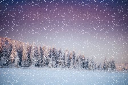 Dramatic wintry scene carpathian ukraine europe