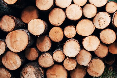 Stacked up on top of each other close up view of the front of many logs prepared for the winter nature background