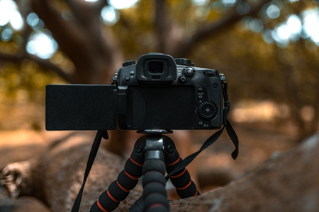 Modern dslr camera standing on tripod at the tree