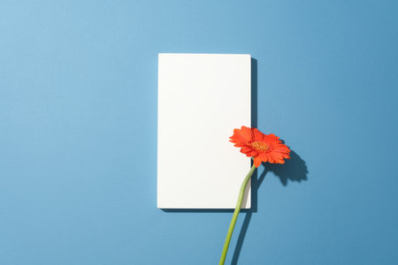 A white rectangular podium and a gerbera branch stand out against the blue background blank space for design product display and advertising