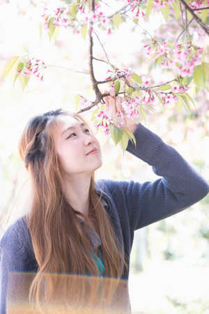 아시아 여자 히말라야 체리 또는 벚꽃