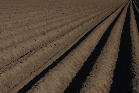 Well plowed farmland with straight lines and darker earth right