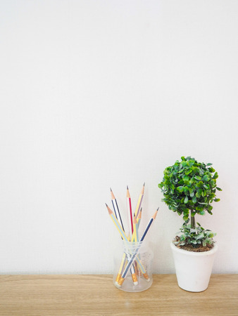 The little tree on my desk at offices Stock Photo