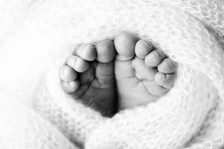 The tiny foot of a newborn soft feet of a newborn in a woolen blanket close up of toes heels and feet of a newborn baby studio macro black and white photography womans happiness Фото со стока