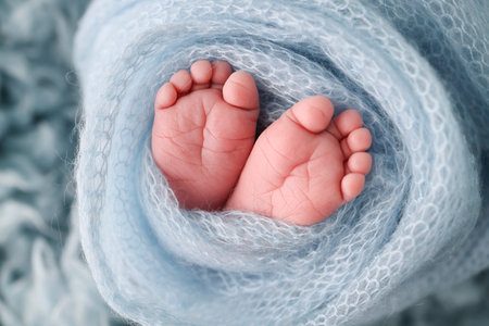 Soft feet of a newborn in a blue woolen blanket close up of toes heels and feet of a newborn baby the tiny foot of a newborn studio macro photography baby feet covered with isolated background Фото со стока