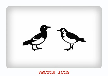 Bird icon vector illustration