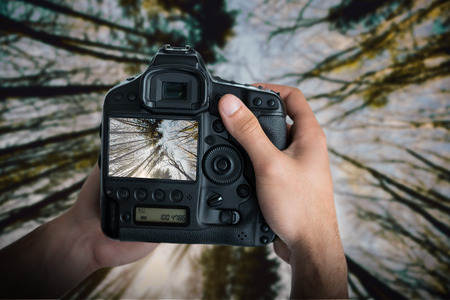 Cropped image of hands holding camera against low angle view of tall trees