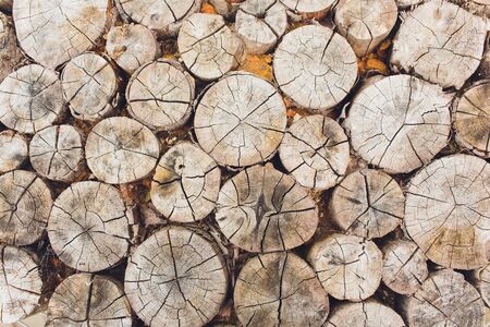 Registros. Cortes de troncos de cerca. Pila de troncos. Pila de leña de cerca. Cortes de troncos preparados para chimenea. Pila de leña. Madera para chimenea. Madera para el invierno. Fondo de leña.