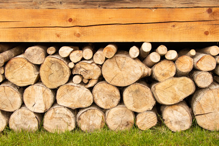 Logs as a background carpathian forest logs for the winter wood Foto de archivo