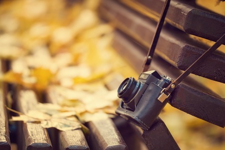 Vintage camera hanging on wooden bench in autumn park style toned photo