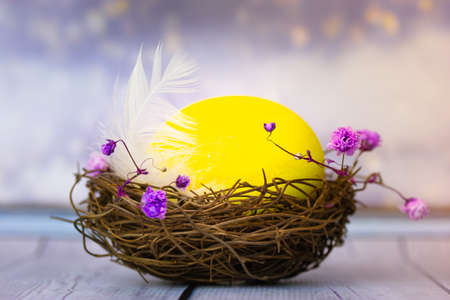 nido de pascua. Huevo de gallina amarillo brillante, pluma blanca en nido de pájaro decorado con pequeñas flores moradas sobre una mesa de madera. Fotografía macro de composición festiva 2022. Felices Pascuas. Fondo de vacaciones de primavera.