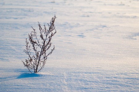 Abstract winter background beautiful and unusual snow texture snow drifts Фото со стока