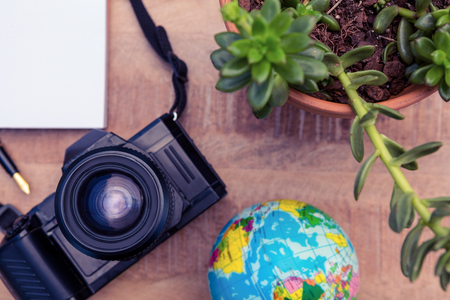 High angle view of camera and globe by potted plant on desk