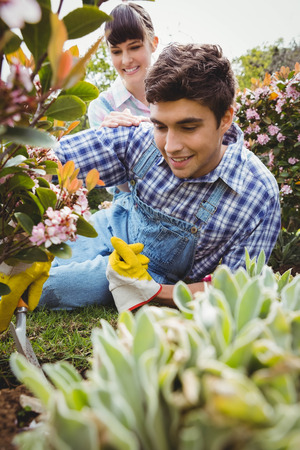 Cheerful couple maintaining plants in garden