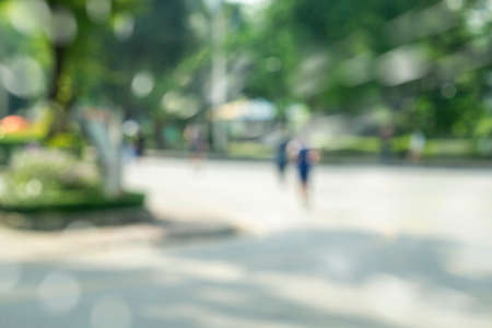 Defocused bokeh background of garden trees in sunny day