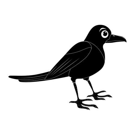 Conjunto de ilustración de silueta de pájaro Urraca. Diseño de ornitología animal de cuervo de pie. Forma vectorial aislada sobre fondo blanco. Foto de archivo