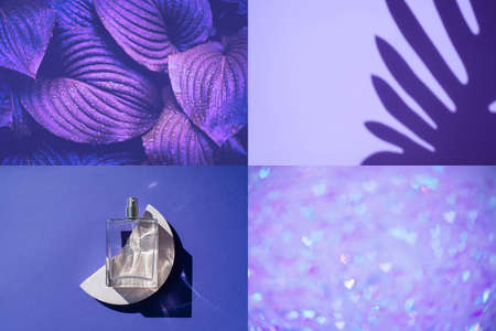 Collage with different abstract photos close up beautiful fresh purple background with leaves and drops of water palm shadow transparent bottle of perfume on a podium natura bokeh of lights in the form of a hear