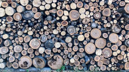 Firewood for heating fires fireplaces background from sawed tree trunks Reklamní fotografie