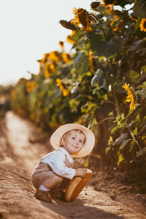 un niño en un campo de girasoles come pan de trigo, el pan está parcialmente mordido Foto de archivo