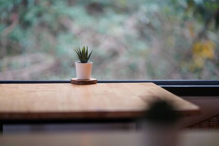 Decorative house hahnii in a pot on wooden table near window