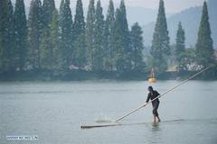 Hangzhou citizen crosses Xin'an River using 2 bamboo poles