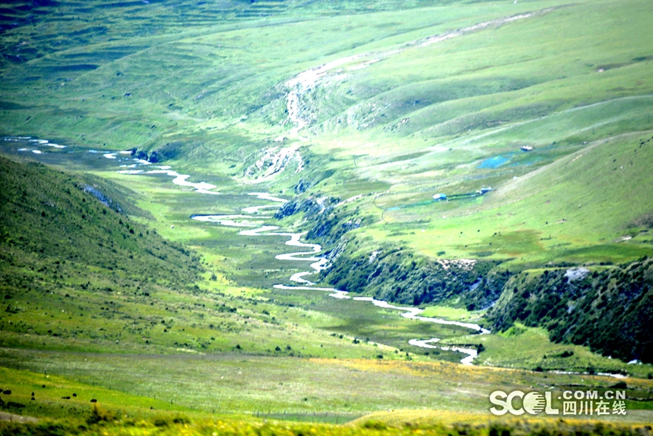 空中俯瞰四川雪域高原 跑马溜溜的山上有着溜溜的云