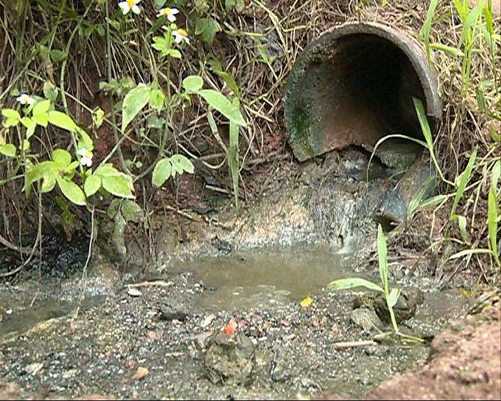 在水源地内建养殖场 泸州叙永县一养殖户输了官司