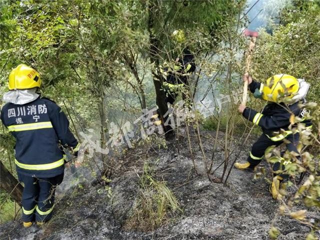 遂宁80岁老太寺庙前烧纸 风吹走燃烧纸屑引发山火