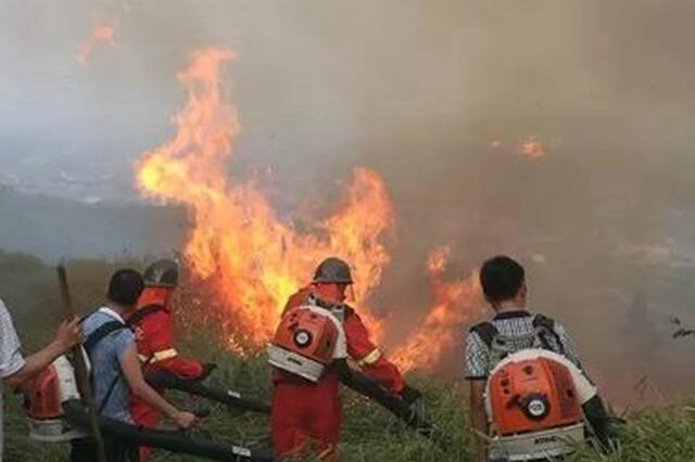 动用人工增雨 四川隆昌山火已扑灭