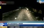 7.0-magnitude quake hits SW China's Sichuan Province