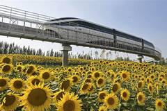 China Flower Expo to kick off on Sept. 1