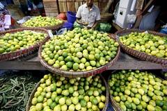 Myanmar exports about 95 percent of fruits to China