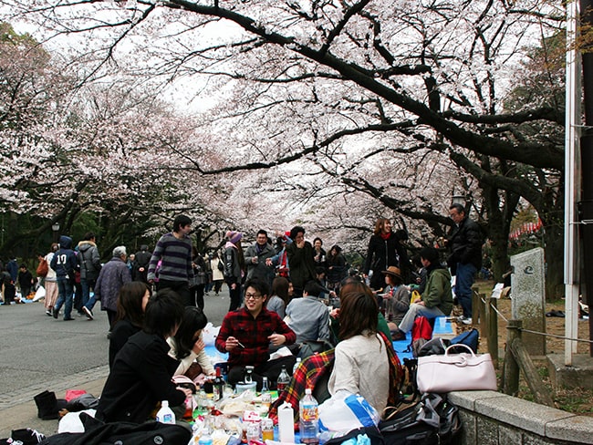 2011上野公園賞櫻