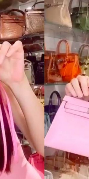Jamie Chua introduces her collection of luxury pink bags, including a &#039;useless&#039; one that costs $12,500